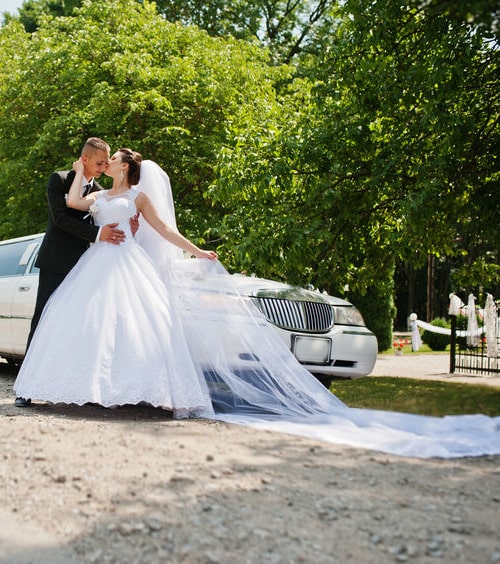 Limousine service Antioch Illinois wedding